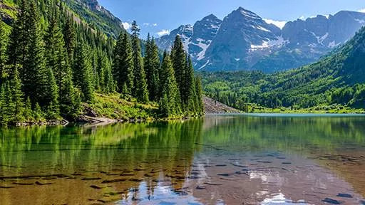 Electronics Recycling - 598551598_PKI_PDG_normalized-512.jpg