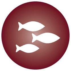Meat & Seafood - 90127_Icon_SeafoodAquaculture.png